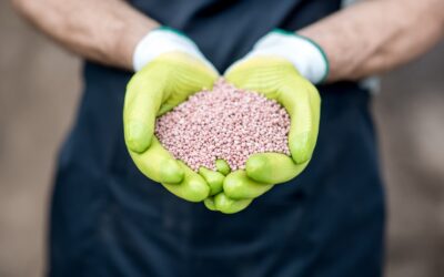 ¿Por qué te interesa conocer el pellet? 