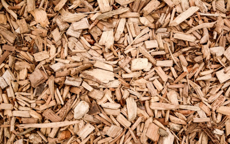 Fragmento reciclado