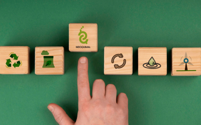 Innovación en la economía circular